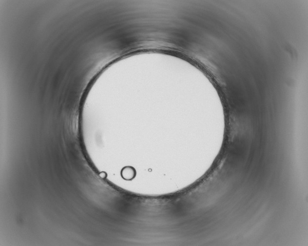 X0000112531322200908171412