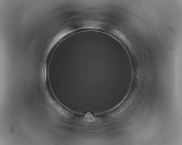 X0000112531323200908171412