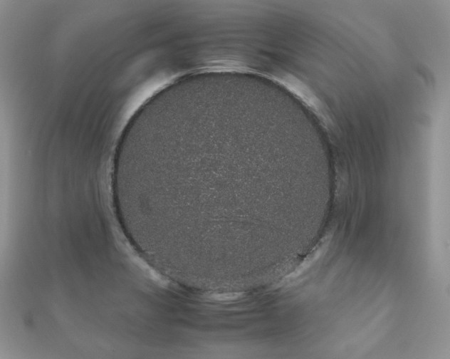 X0000112531325200908171412