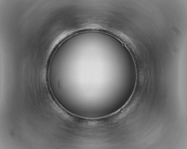 X0000112531326200908171412
