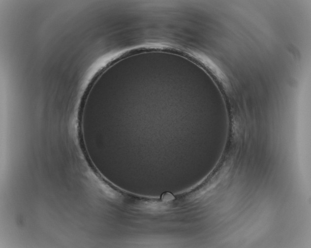 X0000112531327200908171412