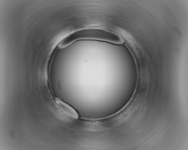 X0000112531328200908171412
