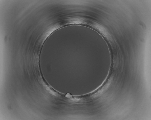 X0000112531329200908171412