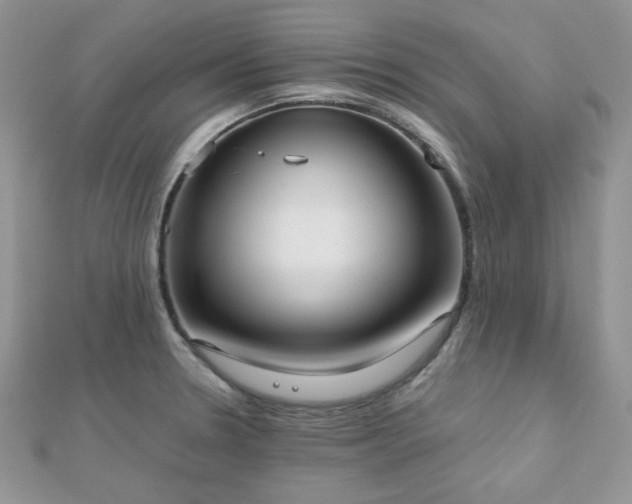 X0000112531330200908171412