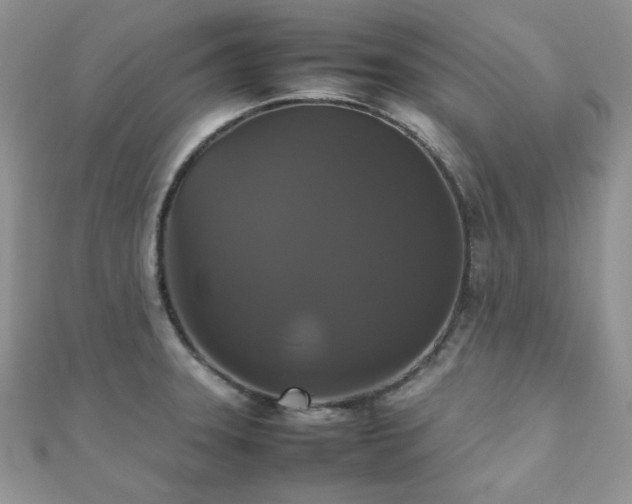 X0000112531331200908171412