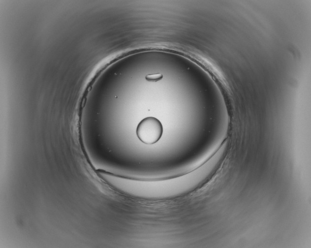 X0000112531332200908171412