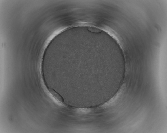 X0000112531333200908171412