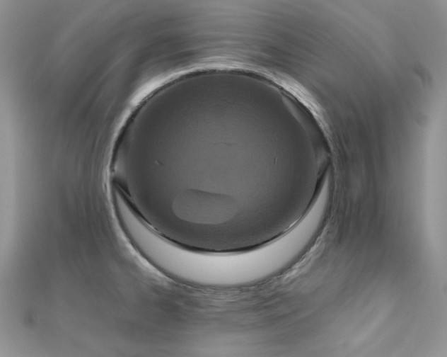 X0000112531334200908171412