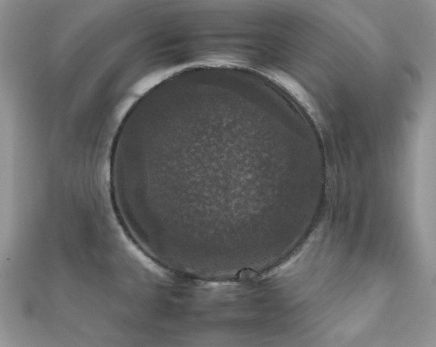 X0000112531335200908171412