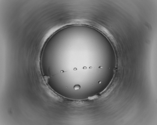 X0000112531336200908171412