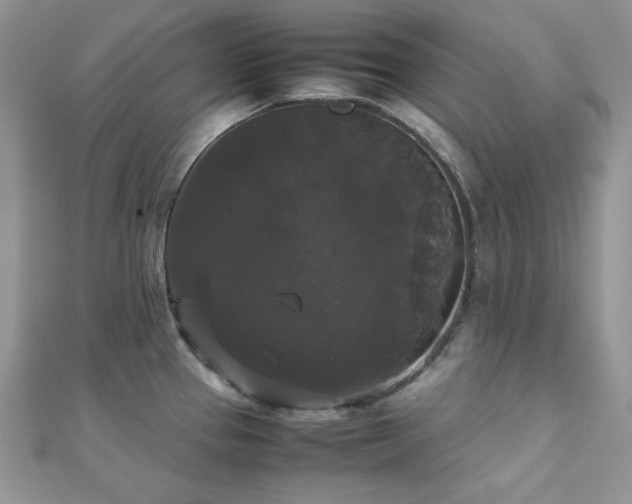 X0000112531337200908171412