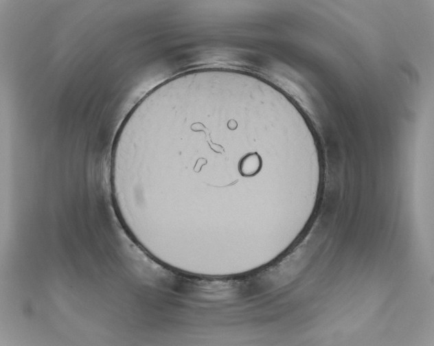 X0000112531338200908171412