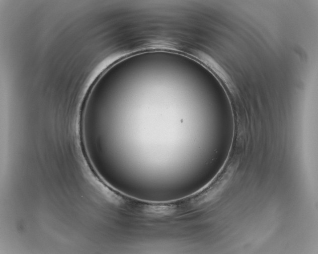 X0000112531339200908171412
