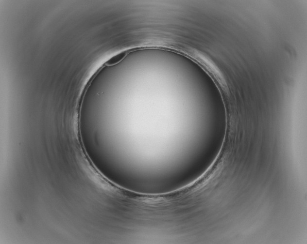 X0000112531340200908171412
