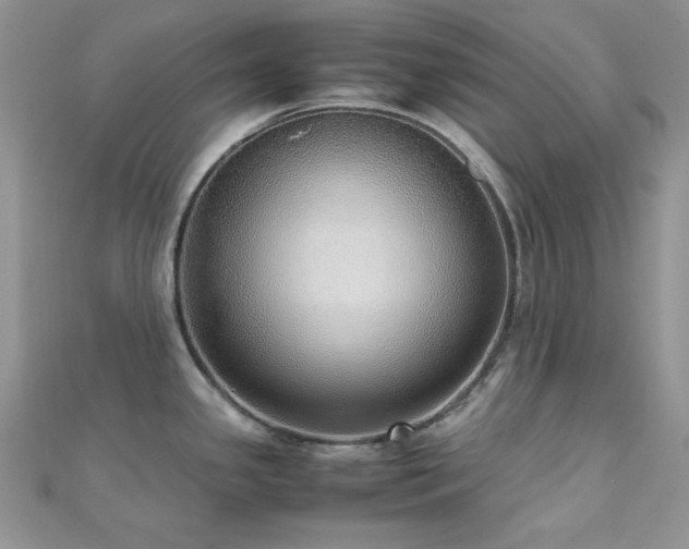X0000112531341200908171412