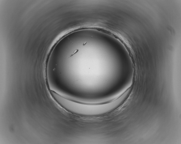 X0000112531342200908171412