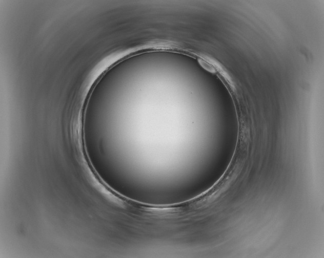 X0000112531343200908171412