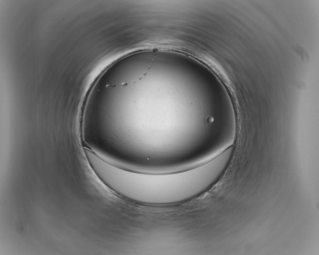 X0000112531344200908171412