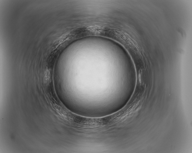 X0000112531347200908171412