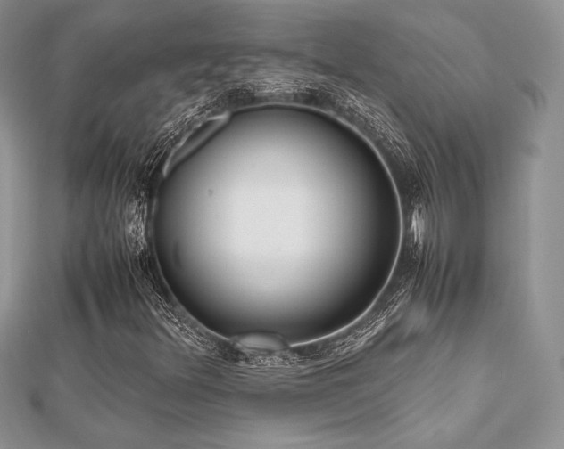 X0000112531348200908171412