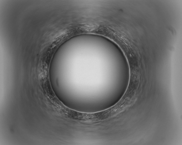 X0000112531349200908171412