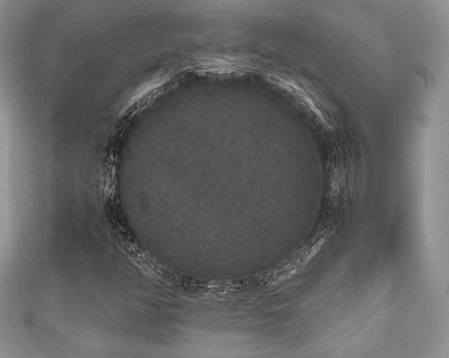 X0000112531350200908171412