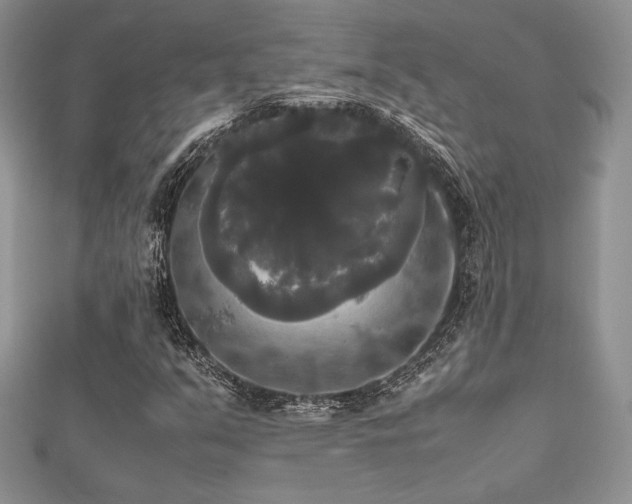 X0000112531351200908171412
