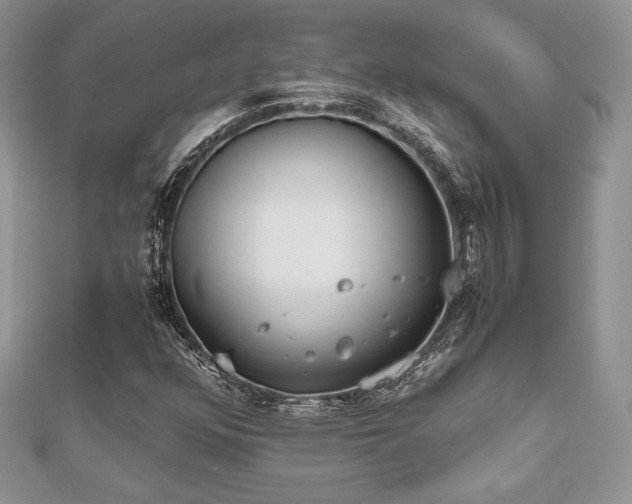 X0000112531352200908171412