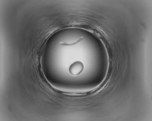 X0000112531353200908171411