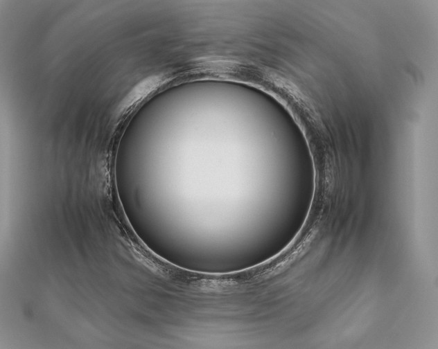 X0000112531354200908171411