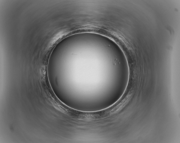 X0000112531355200908171411