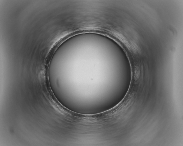 X0000112531356200908171411