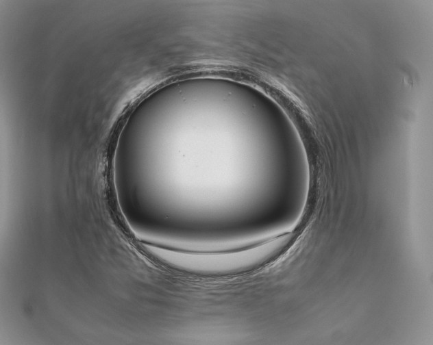 X0000112531357200908171411