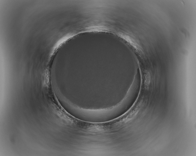 X0000112531358200908171411