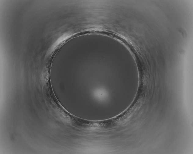 X0000112531359200908171411