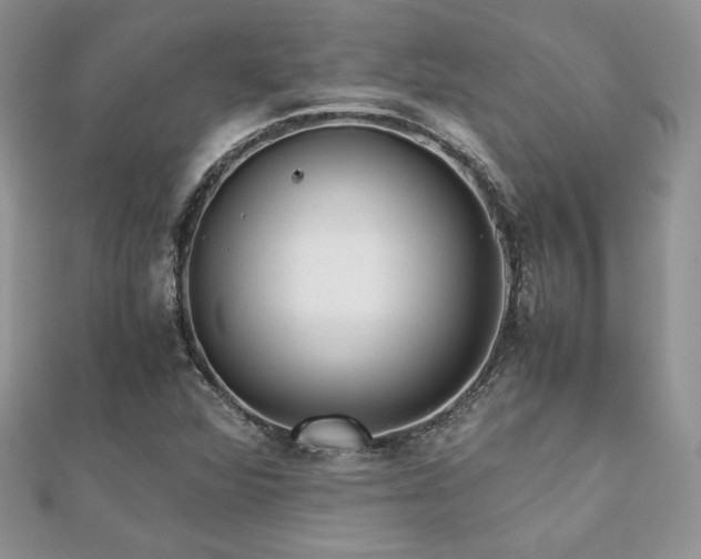 X0000112531360200908171411