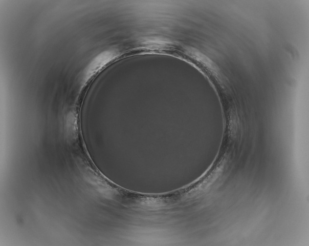 X0000112531362200908171411