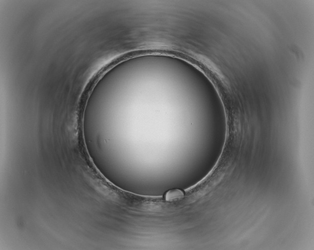X0000112531364200908171411