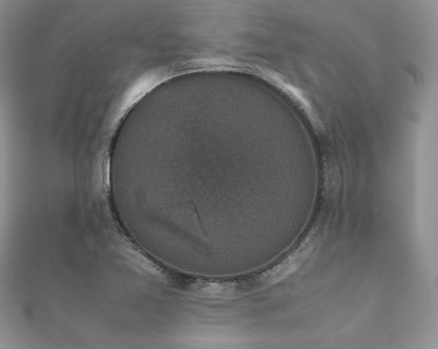 X0000112531365200908171411