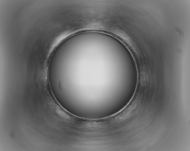 X0000112531366200908171411