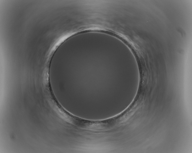 X0000112531367200908171411
