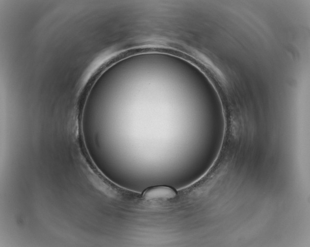 X0000112531368200908171411