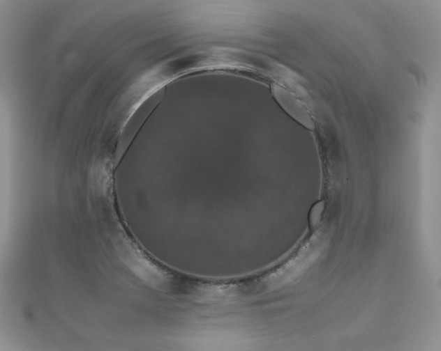 X0000112531369200908171411