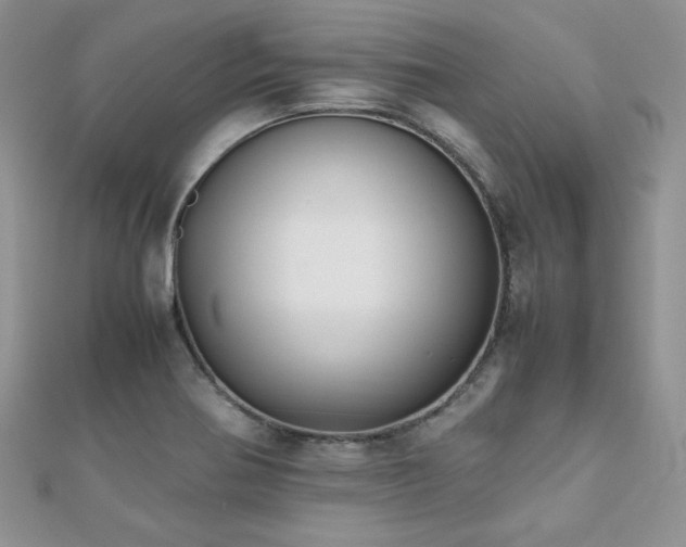 X0000112531370200908171411