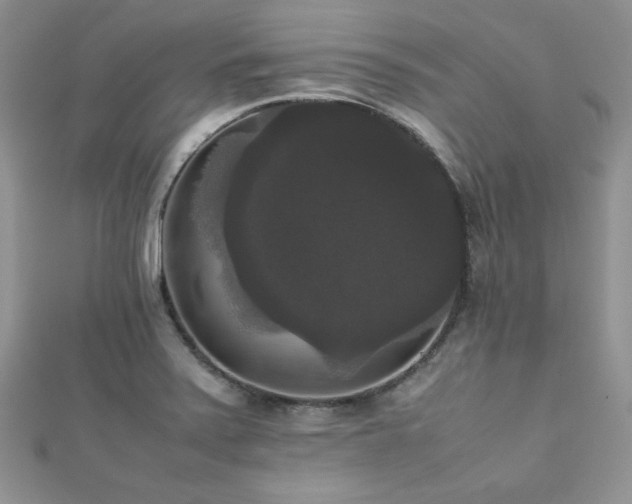 X0000112531371200908171411
