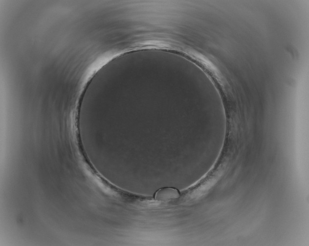 X0000112531373200908171411