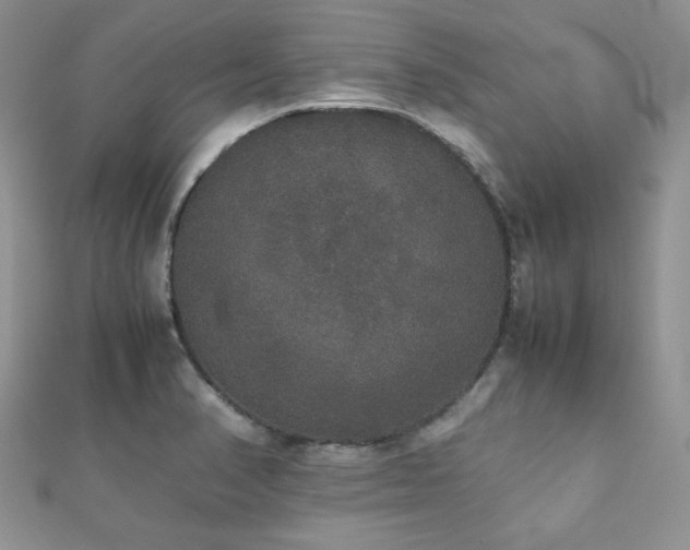 X0000112531374200908171411