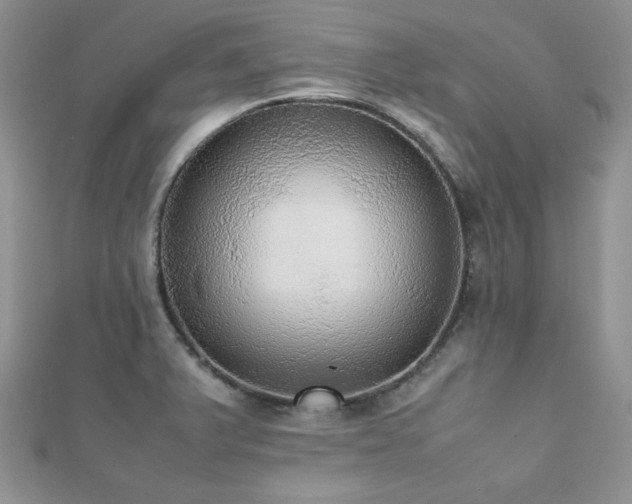 X0000112531375200908171411