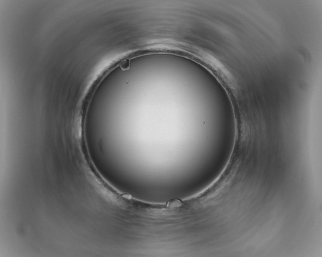 X0000112531376200908171411
