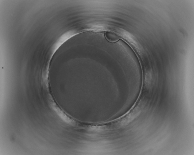 X0000112531378200908171411